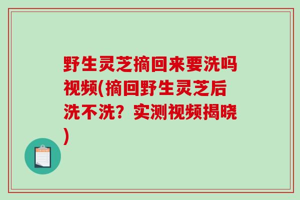 野生灵芝摘回来要洗吗视频(摘回野生灵芝后洗不洗？实测视频揭晓)