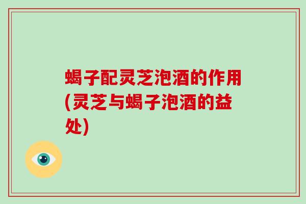 蝎子配灵芝泡酒的作用(灵芝与蝎子泡酒的益处)