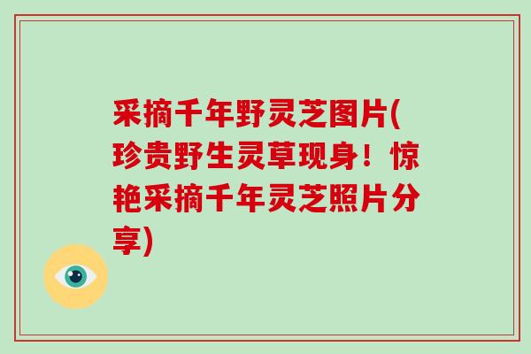 采摘千年野灵芝图片(珍贵野生灵草现身！惊艳采摘千年灵芝照片分享)