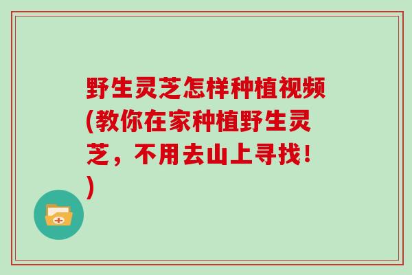 野生灵芝怎样种植视频(教你在家种植野生灵芝，不用去山上寻找！)