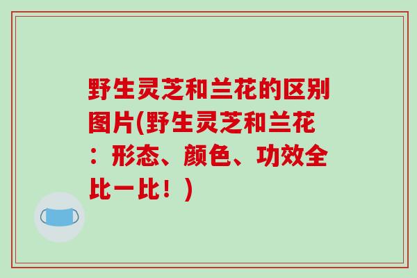 野生灵芝和兰花的区别图片(野生灵芝和兰花：形态、颜色、功效全比一比！)