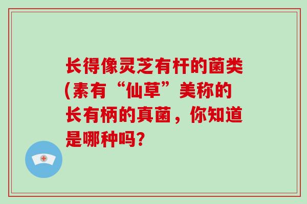 长得像灵芝有杆的菌类(素有“仙草”美称的长有柄的真菌，你知道是哪种吗？