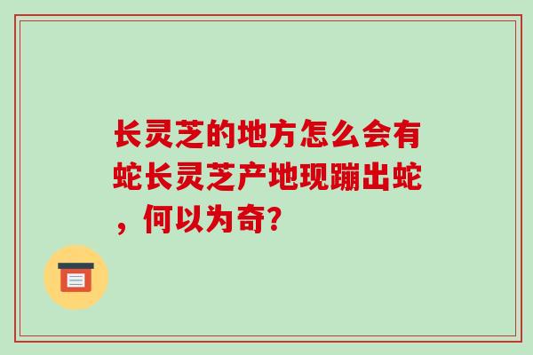 长灵芝的地方怎么会有蛇长灵芝产地现蹦出蛇，何以为奇？
