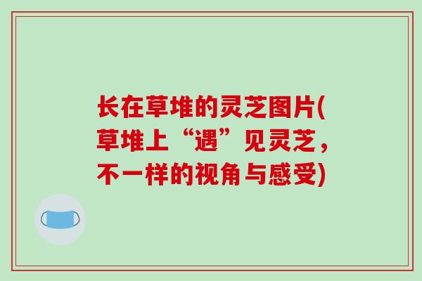 长在草堆的灵芝图片(草堆上“遇”见灵芝，不一样的视角与感受)