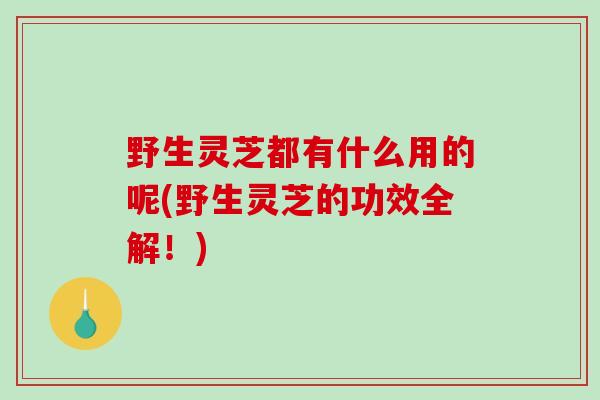 野生灵芝都有什么用的呢(野生灵芝的功效全解！)