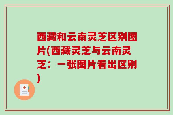 西藏和云南灵芝区别图片(西藏灵芝与云南灵芝：一张图片看出区别)