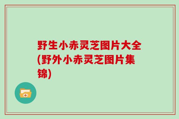 野生小赤灵芝图片大全(野外小赤灵芝图片集锦)