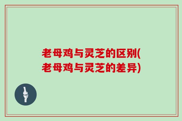 老母鸡与灵芝的区别(老母鸡与灵芝的差异)