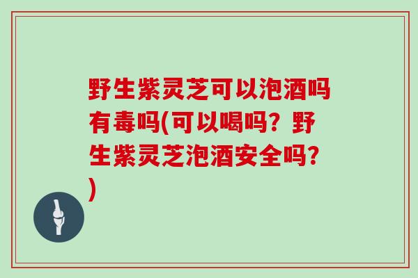 野生紫灵芝可以泡酒吗有毒吗(可以喝吗？野生紫灵芝泡酒安全吗？)