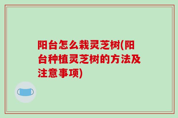 阳台怎么栽灵芝树(阳台种植灵芝树的方法及注意事项)