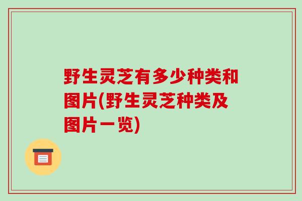 野生灵芝有多少种类和图片(野生灵芝种类及图片一览)