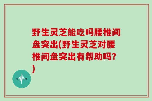 野生灵芝能吃吗腰椎间盘突出(野生灵芝对腰椎间盘突出有帮助吗？)