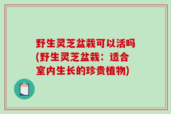 野生灵芝盆栽可以活吗(野生灵芝盆栽：适合室内生长的珍贵植物)
