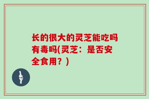 长的很大的灵芝能吃吗有毒吗(灵芝：是否安全食用？)