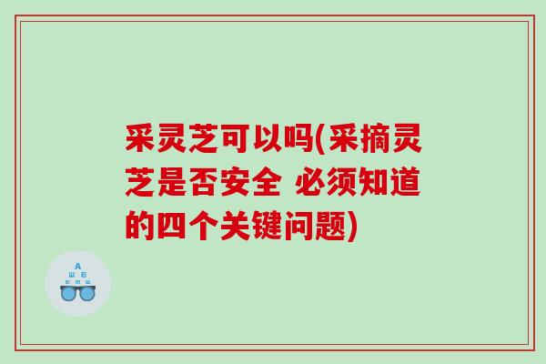 采灵芝可以吗(采摘灵芝是否安全 必须知道的四个关键问题)
