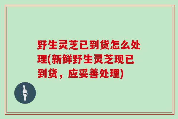 野生灵芝已到货怎么处理(新鲜野生灵芝现已到货，应妥善处理)