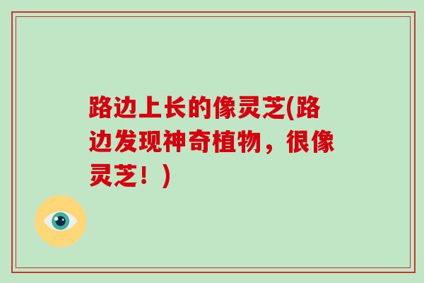 路边上长的像灵芝(路边发现神奇植物，很像灵芝！)