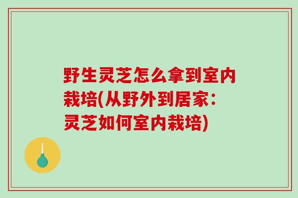野生灵芝怎么拿到室内栽培(从野外到居家：灵芝如何室内栽培)