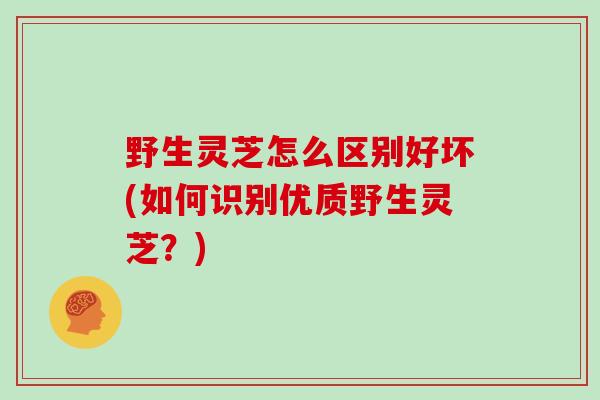 野生灵芝怎么区别好坏(如何识别优质野生灵芝？)