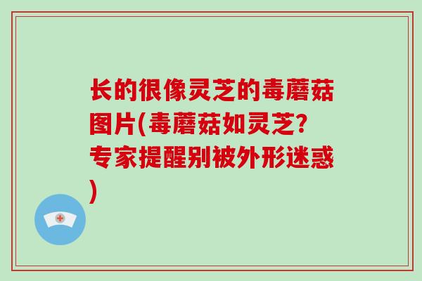 长的很像灵芝的毒蘑菇图片(毒蘑菇如灵芝？专家提醒别被外形迷惑)