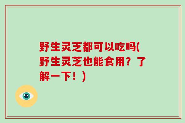 野生灵芝都可以吃吗(野生灵芝也能食用？了解一下！)