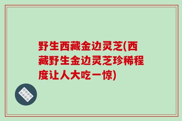 野生西藏金边灵芝(西藏野生金边灵芝珍稀程度让人大吃一惊)