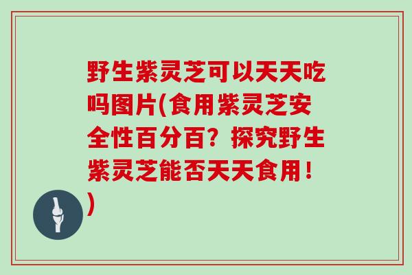 野生紫灵芝可以天天吃吗图片(食用紫灵芝安全性百分百？探究野生紫灵芝能否天天食用！)