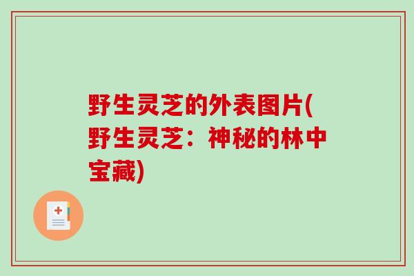 野生灵芝的外表图片(野生灵芝：神秘的林中宝藏)