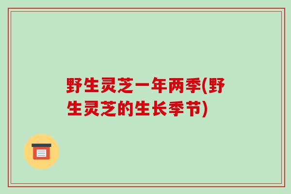 野生灵芝一年两季(野生灵芝的生长季节)
