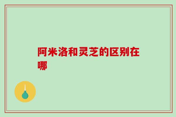 阿米洛和灵芝的区别在哪