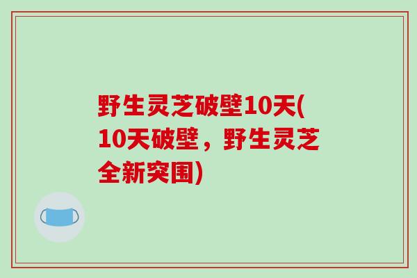野生灵芝破壁10天(10天破壁，野生灵芝全新突围)