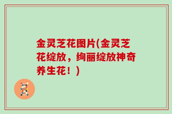 金灵芝花图片(金灵芝花绽放，绚丽绽放神奇养生花！)