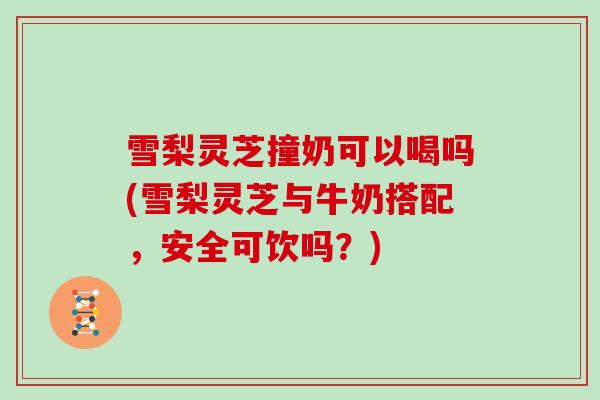雪梨灵芝撞奶可以喝吗(雪梨灵芝与牛奶搭配，安全可饮吗？)