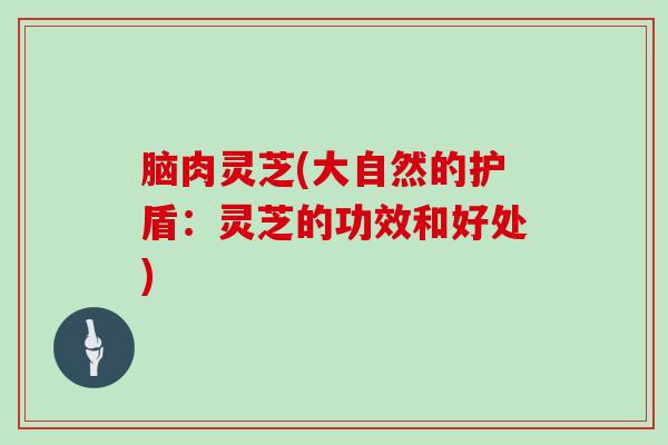 脑肉灵芝(大自然的护盾：灵芝的功效和好处)