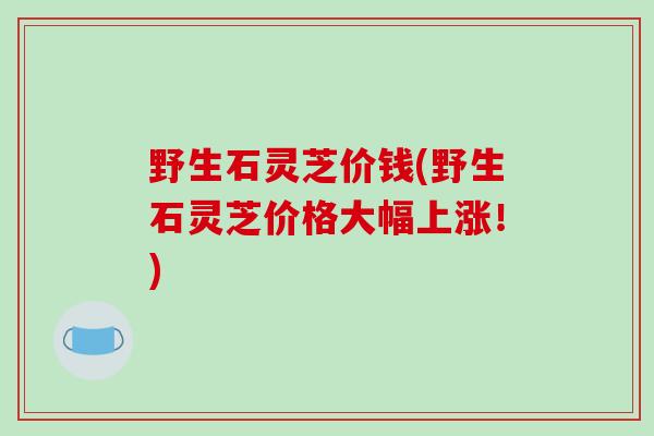野生石灵芝价钱(野生石灵芝价格大幅上涨！)