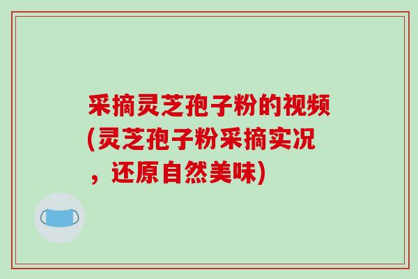 采摘灵芝孢子粉的视频(灵芝孢子粉采摘实况，还原自然美味)