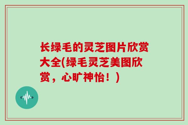 长绿毛的灵芝图片欣赏大全(绿毛灵芝美图欣赏，心旷神怡！)