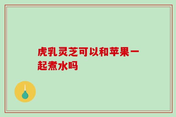 虎乳灵芝可以和苹果一起煮水吗