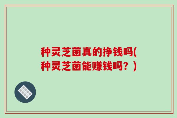 种灵芝菌真的挣钱吗(种灵芝菌能赚钱吗？)