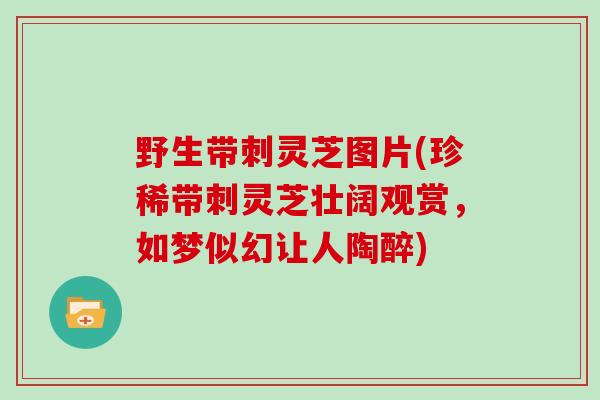 野生带刺灵芝图片(珍稀带刺灵芝壮阔观赏，如梦似幻让人陶醉)