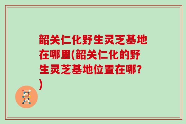 韶关仁化野生灵芝基地在哪里(韶关仁化的野生灵芝基地位置在哪？)