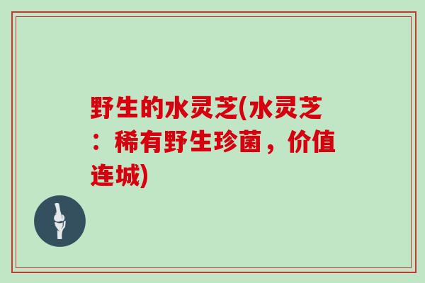 野生的水灵芝(水灵芝：稀有野生珍菌，价值连城)