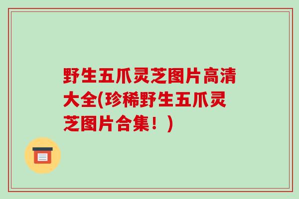 野生五爪灵芝图片高清大全(珍稀野生五爪灵芝图片合集！)