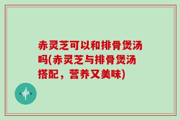 赤灵芝可以和排骨煲汤吗(赤灵芝与排骨煲汤搭配，营养又美味)