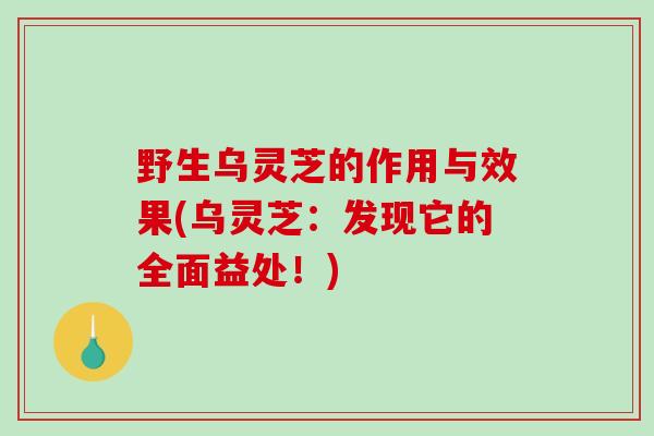 野生乌灵芝的作用与效果(乌灵芝：发现它的全面益处！)