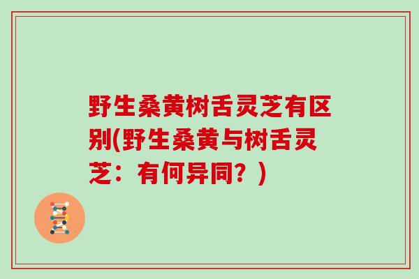 野生桑黄树舌灵芝有区别(野生桑黄与树舌灵芝：有何异同？)