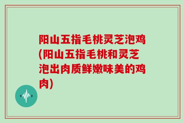 阳山五指毛桃灵芝泡鸡(阳山五指毛桃和灵芝泡出肉质鲜嫩味美的鸡肉)
