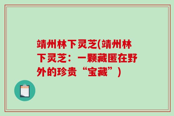 靖州林下灵芝(靖州林下灵芝：一颗藏匿在野外的珍贵“宝藏”)