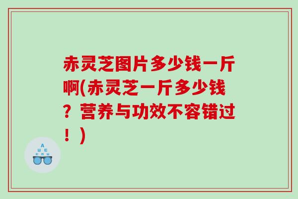 赤灵芝图片多少钱一斤啊(赤灵芝一斤多少钱？营养与功效不容错过！)