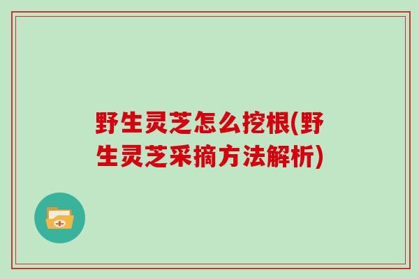 野生灵芝怎么挖根(野生灵芝采摘方法解析)